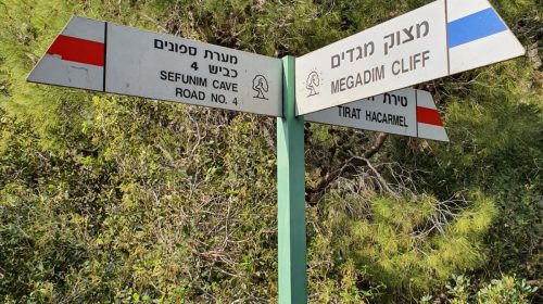 פיצול המסלול אדום וכחול